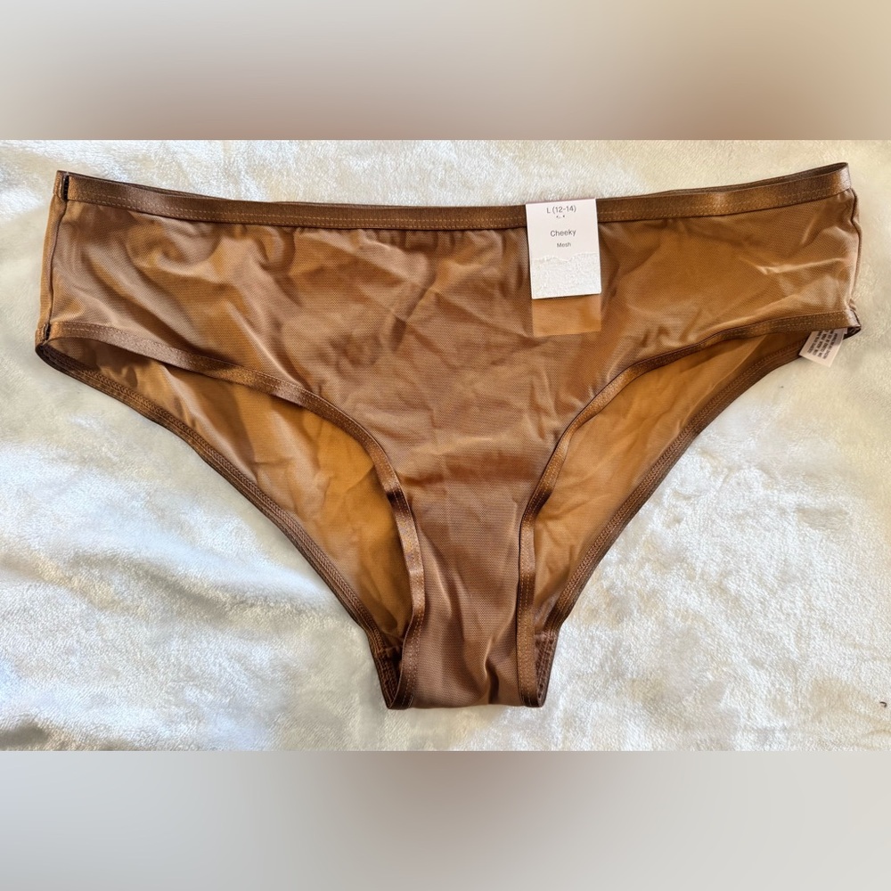 Auden Cheeky Mesh Bikini Bottoms
